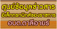 ศูนย์ข้อมูลข่าวสารทางอิเล็กทรอนิกส์